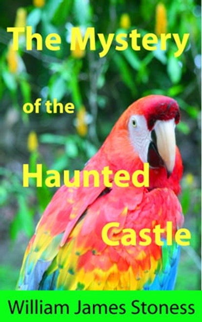 The Mystery of the Haunted Castle, William James Stoness - Ebook - 9780986812989