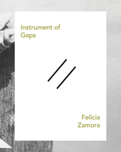 Instrument of Gaps, Felicia Zamora - Paperback - 9780988522169