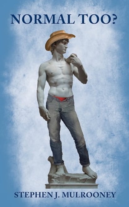 Normal Too?, Stephen J. Mulrooney - Ebook - 9780988992887