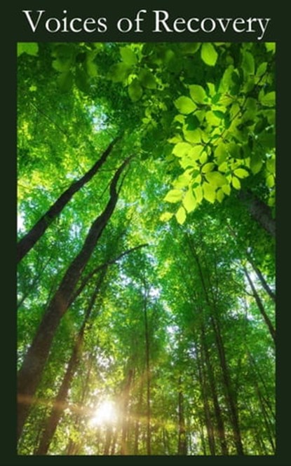 Voices of Recovery, SAA Fellowship - Ebook - 9780989228688