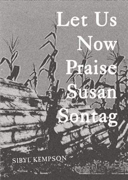 Let Us Now Praise Susan Sontag, Sibyl Kempson - Paperback - 9780989739351