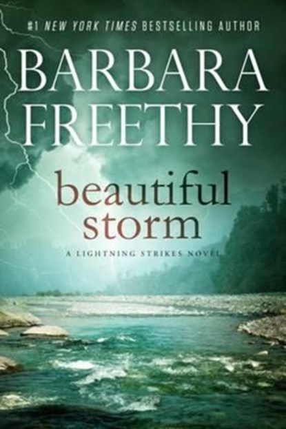 Beautiful Storm, Barbara Freethy - Paperback - 9780990695271