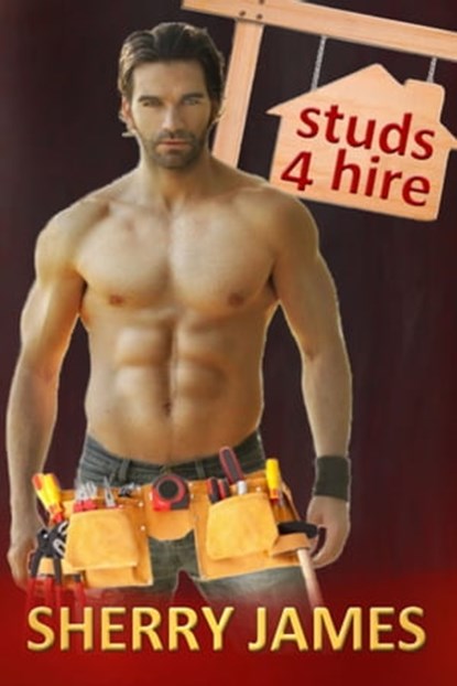 Studs 4 Hire Boxed Set, Sherry James - Ebook - 9780991281046