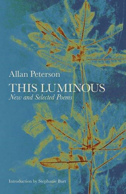 This Luminous, Allan Peterson - Paperback - 9780991640447