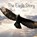 The Eagle Story, DU TOIT,  Francois - Paperback - 9780992176938