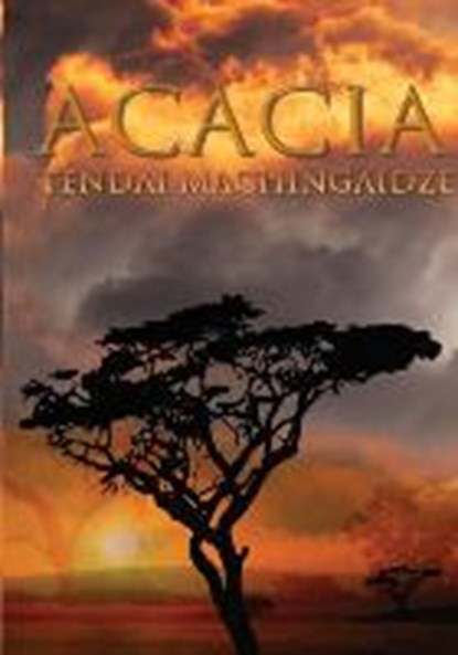 Acacia, MACHINGAIDZE,  Tendai - Paperback - 9780992228521