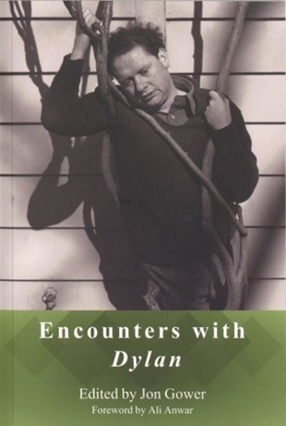 Encounters with Dylan, Jon Gower - Paperback - 9780992756024