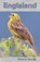 Englaland, Steve Ely - Paperback - 9780992958145