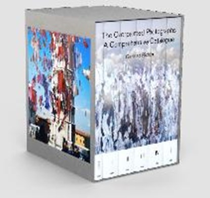 Overpainted Photographs, RICHTER,  Gerhard - Gebonden - 9780993010330