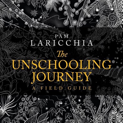 The Unschooling Journey, Pam Laricchia - Paperback - 9780994055552