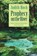 Prophecy on the River, Judith Hoch - Paperback - 9780995120341
