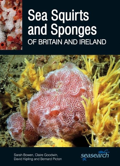 Sea Squirts and Sponges of Britain and Ireland, Sarah Bowen ; Claire Goodwin ; David Kipling ; Bernard Picton - Paperback - 9780995567382