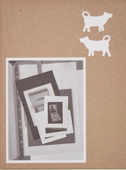 Working Through Objects, Susan Hiller - Paperback - 9780995683570