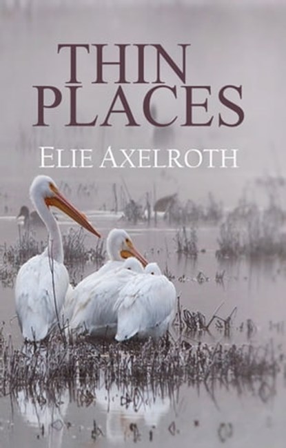 Thin Places, Elie Axelroth - Ebook - 9780996284721