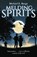 Melding Spirits, Michael E Burge - Paperback - 9780996309837