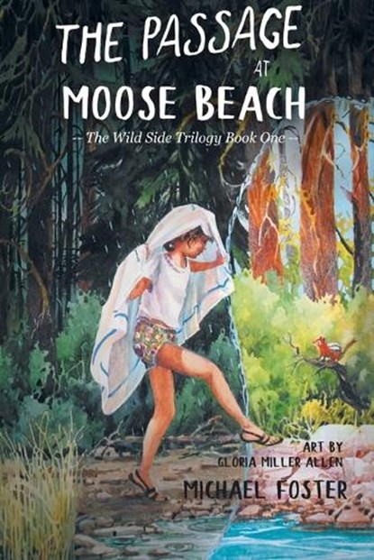 The Passage At Moose Beach, Michael Foster - Paperback - 9780996568364
