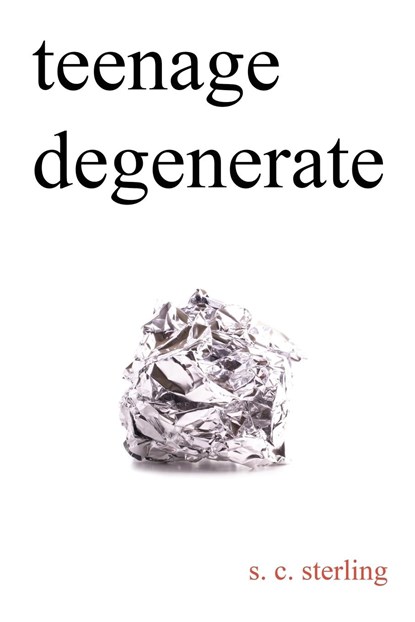 Teenage Degenerate, S. C. Sterling - Paperback - 9780997017595