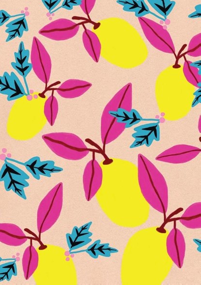 Citron: A Blank Journal, niet bekend - Gebonden - 9780997066456