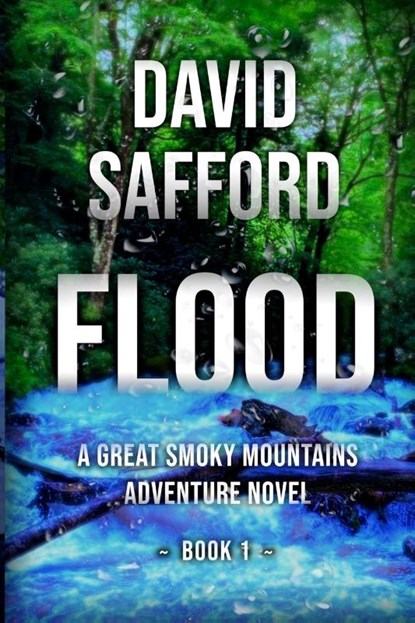 Flood, David Safford - Paperback - 9780997088120