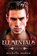 Madow, M: Elementals 2, Michelle Madow - Paperback - 9780997239409