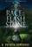 Race for the Flash Stone, K. Patrick Donoghue - Gebonden - 9780997316445