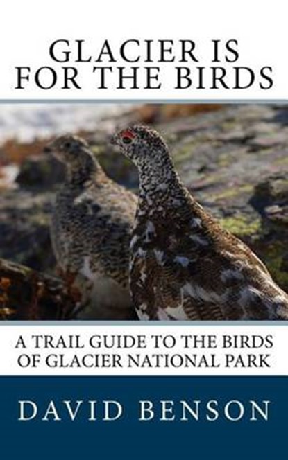 Glacier is for the Birds: A Trail Guide to the Birds of Glacier National Park, BENSON,  David P. - Paperback - 9780997519303