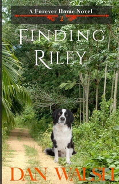 Finding Riley, Dan Walsh - Paperback - 9780997983708