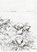 To the River, O'BRIEN,  Michael - Paperback - 9780998169514