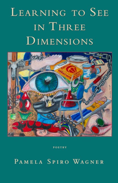 Learning to See in Three Dimensions, Pamela Spiro Wagner - Paperback - 9780998260464