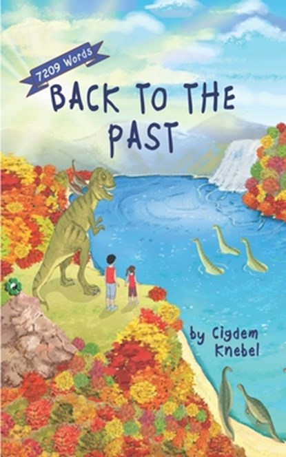 Back To The Past, Cigdem Knebel - Paperback - 9780998454375