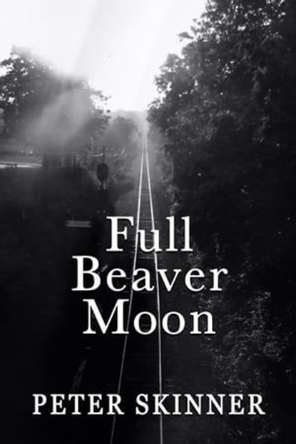 Full Beaver Moon, Peter Skinner - Ebook - 9780998674049