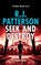 Seek and Destroy, R. J. Patterson - Paperback - 9780999052846