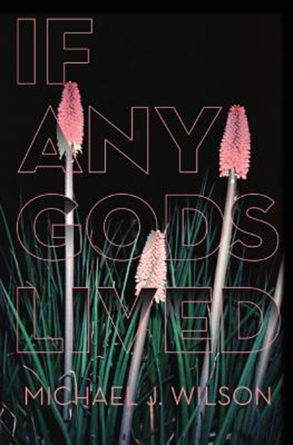 If Any Gods Lived, Michael J Wilson - Paperback - 9780999115244