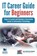 IT Career Guide for Beginners, Chandraish Sinha - Paperback - 9780999244975