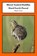 Blood-Soaked Buddha/Hard Earth Pascal, Noah Cicero - Paperback - 9780999249901