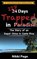 228 Days Trapped in Paradise, PAGE,  Nikki - Gebonden - 9780999350683