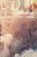 A Fire Without Light, Darren C Demaree - Overig - 9780999397152