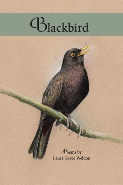 Blackbird, Laura Grace Weldon - Paperback - 9780999432761