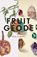 Fruit Geode, Alicia Jo Rabins - Paperback - 9780999501207