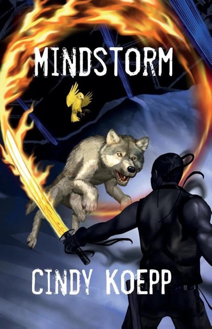 Mindstorm, Cindy Koepp - Paperback - 9780999592748