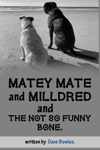 Matey Mate and Milldred and the Not So Funny Bone., Dave Bowles - Ebook - 9781005030049
