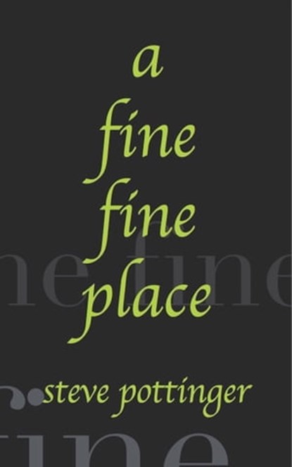 A Fine Fine Place, Steve Pottinger - Ebook - 9781005433468