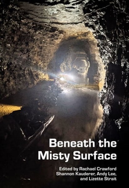 Beneath the Misty Surface, Rachael Crawford ; Lizette Strait ; Andy Lee ; Shannon Yseult - Ebook - 9781005456184