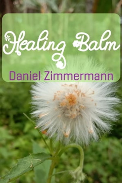 Healing Balm, Daniel Zimmermann - Ebook - 9781005492328