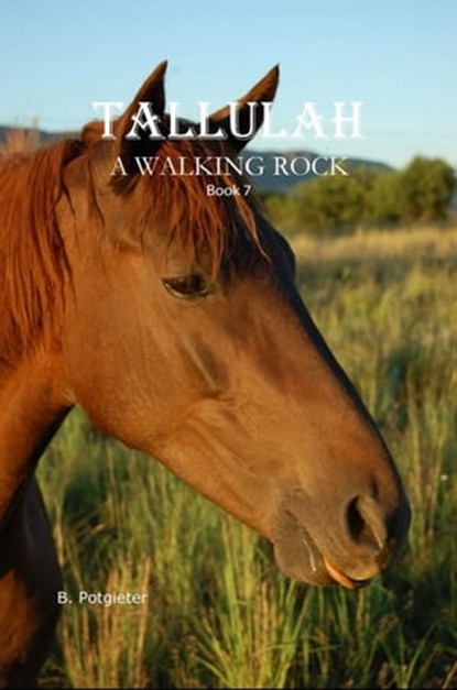 Tallulah: A Walking Rock, B. Potgieter - Ebook - 9781005492816
