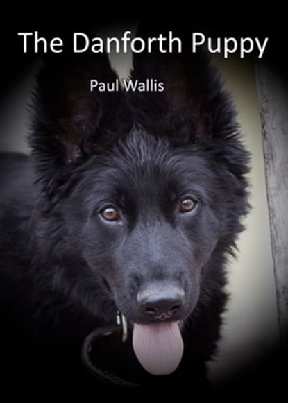 The Danforth Puppy, Paul Wallis - Ebook - 9781005682163