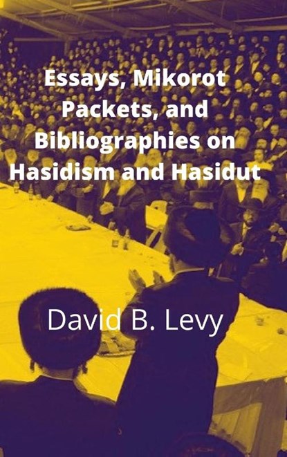 Essays, Mikorot Packets, and Bibliographies on Hasidism and Hasidut, David B Levy - Gebonden - 9781008914131