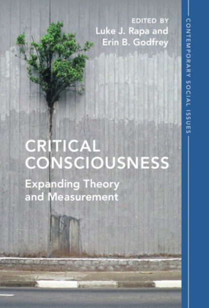Critical Consciousness, LUKE J. (CLEMSON UNIVERSITY,  South Carolina) Rapa ; Erin B. (New York University) Godfrey - Paperback - 9781009153768