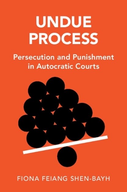 Undue Process, FIONA FEIANG (COLLEGE OF WILLIAM AND MARY,  Virginia) Shen-Bayh - Paperback - 9781009197144