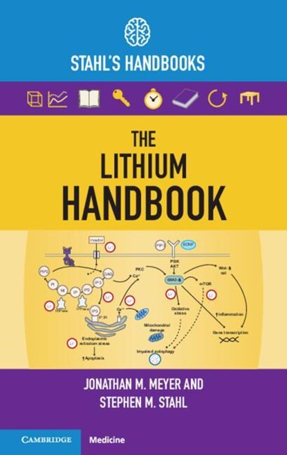 The Lithium Handbook, JONATHAN M. (UNIVERSITY OF CALIFORNIA,  San Diego) Meyer ; Stephen M. (University of California, San Diego) Stahl - Paperback - 9781009225052